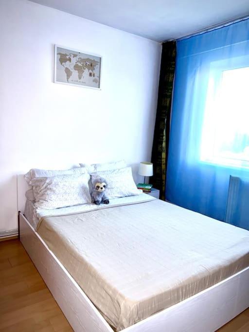 Ap 2 Cam Confortabile - Ab House Яссы Экстерьер фото